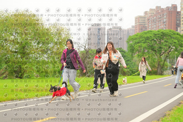 2024第六屆奔跑吧!毛小孩公益路跑