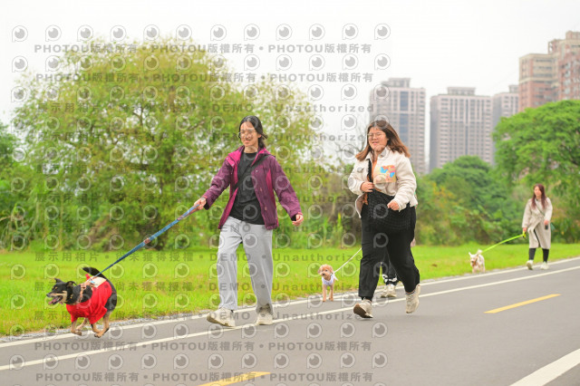 2024第六屆奔跑吧!毛小孩公益路跑