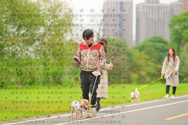 2024第六屆奔跑吧!毛小孩公益路跑