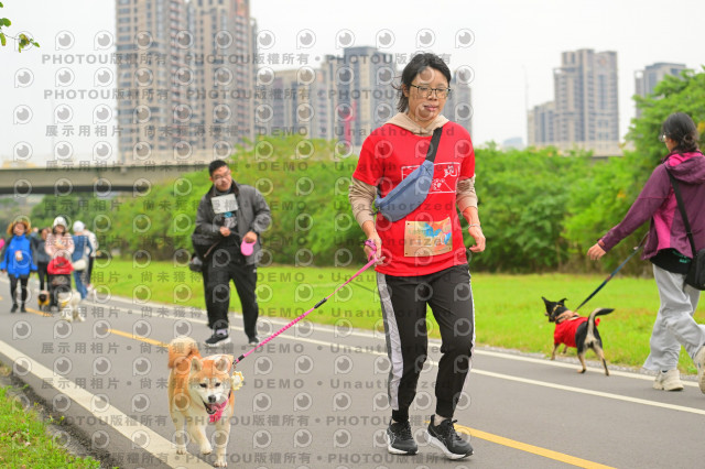 2024第六屆奔跑吧!毛小孩公益路跑