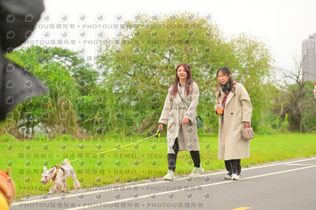 2024第六屆奔跑吧!毛小孩公益路跑
