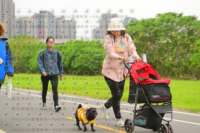 2024第六屆奔跑吧!毛小孩公益路跑