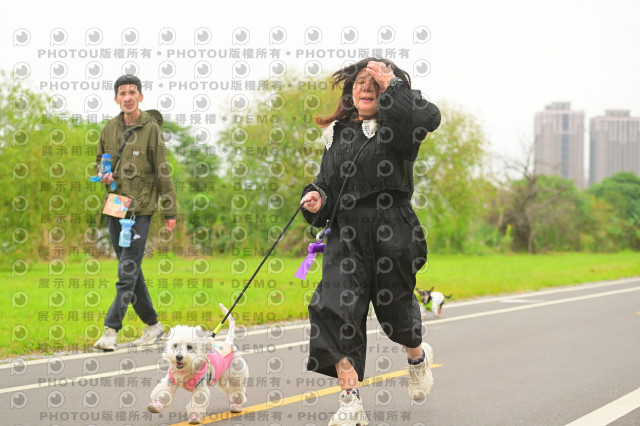 2024第六屆奔跑吧!毛小孩公益路跑