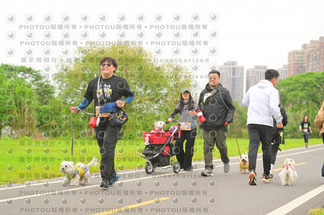 2024第六屆奔跑吧!毛小孩公益路跑