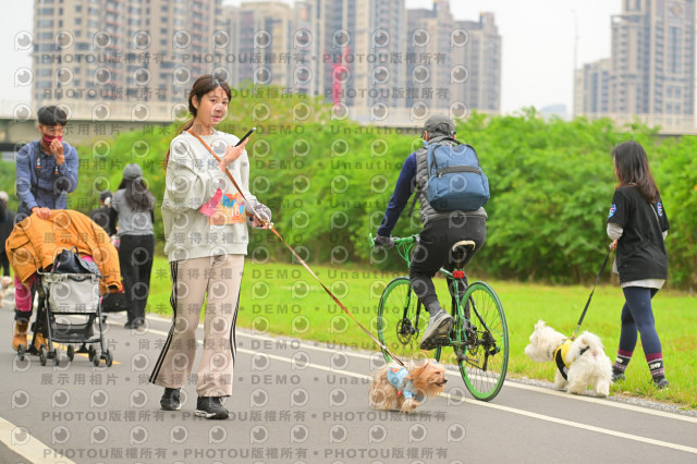 2024第六屆奔跑吧!毛小孩公益路跑