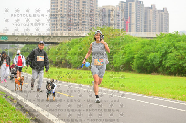 2024第六屆奔跑吧!毛小孩公益路跑
