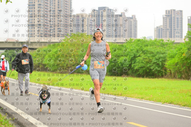 2024第六屆奔跑吧!毛小孩公益路跑