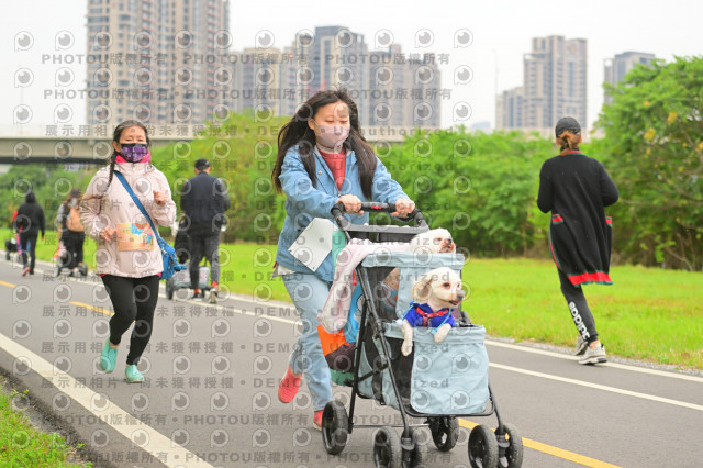 2024第六屆奔跑吧!毛小孩公益路跑