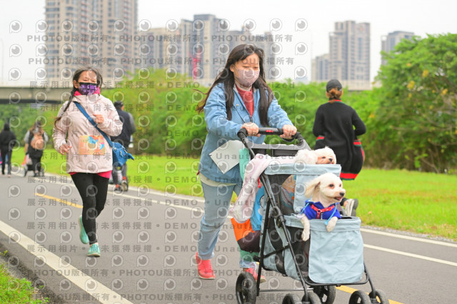 2024第六屆奔跑吧!毛小孩公益路跑