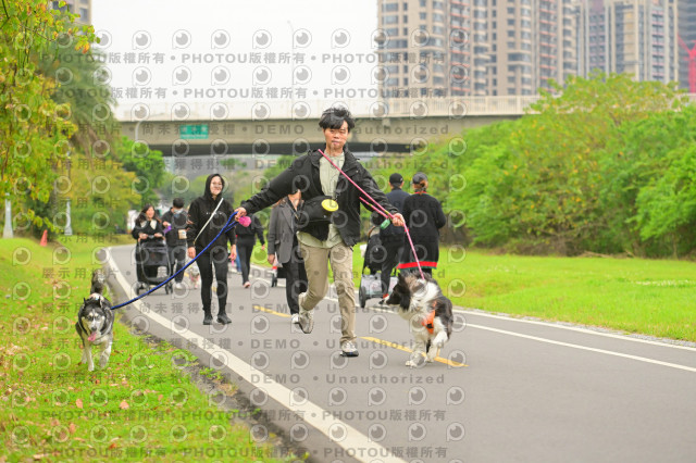 2024第六屆奔跑吧!毛小孩公益路跑