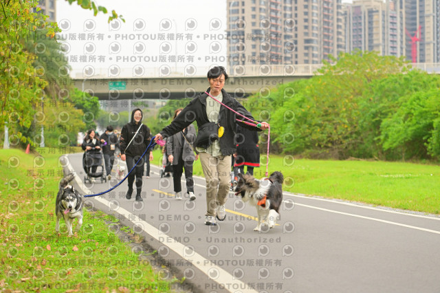 2024第六屆奔跑吧!毛小孩公益路跑