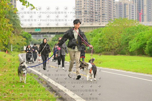 2024第六屆奔跑吧!毛小孩公益路跑