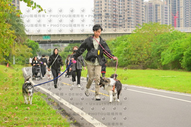 2024第六屆奔跑吧!毛小孩公益路跑