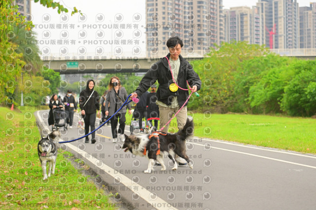 2024第六屆奔跑吧!毛小孩公益路跑