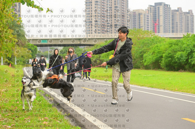 2024第六屆奔跑吧!毛小孩公益路跑