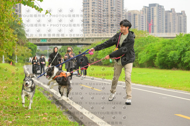 2024第六屆奔跑吧!毛小孩公益路跑