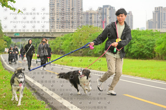 2024第六屆奔跑吧!毛小孩公益路跑