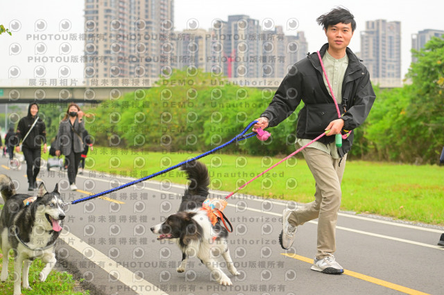 2024第六屆奔跑吧!毛小孩公益路跑