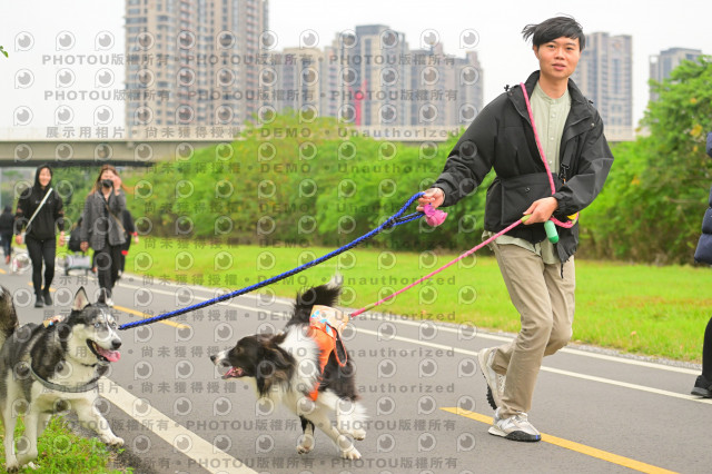 2024第六屆奔跑吧!毛小孩公益路跑
