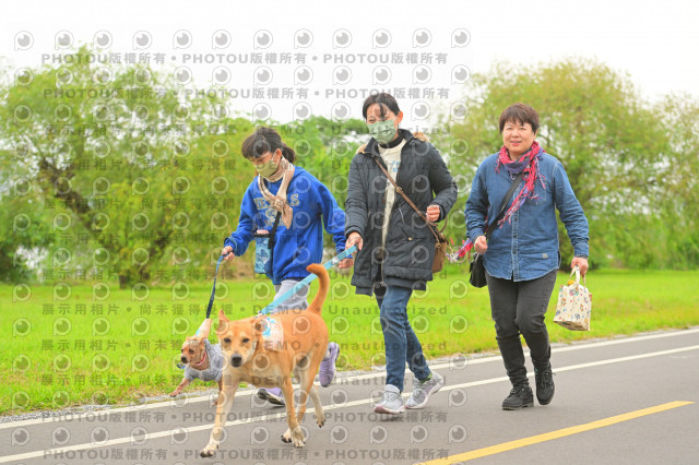 2024第六屆奔跑吧!毛小孩公益路跑