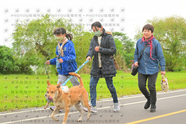 2024第六屆奔跑吧!毛小孩公益路跑