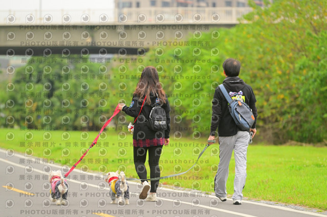 2024第六屆奔跑吧!毛小孩公益路跑