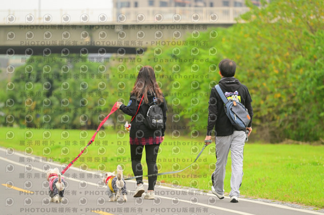 2024第六屆奔跑吧!毛小孩公益路跑