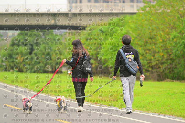 2024第六屆奔跑吧!毛小孩公益路跑