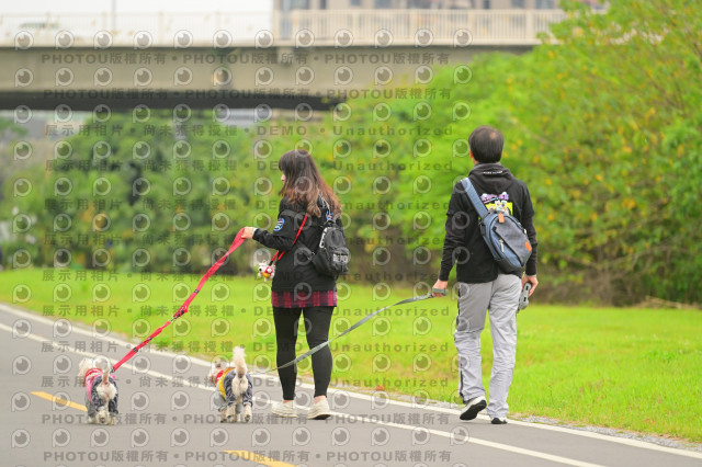 2024第六屆奔跑吧!毛小孩公益路跑