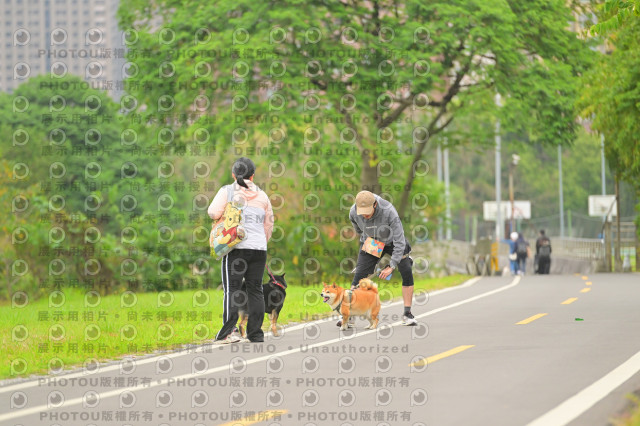 2024第六屆奔跑吧!毛小孩公益路跑