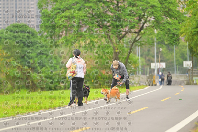 2024第六屆奔跑吧!毛小孩公益路跑