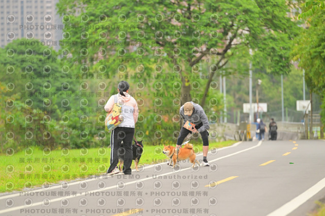 2024第六屆奔跑吧!毛小孩公益路跑