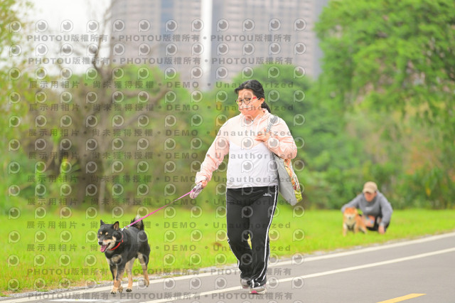 2024第六屆奔跑吧!毛小孩公益路跑