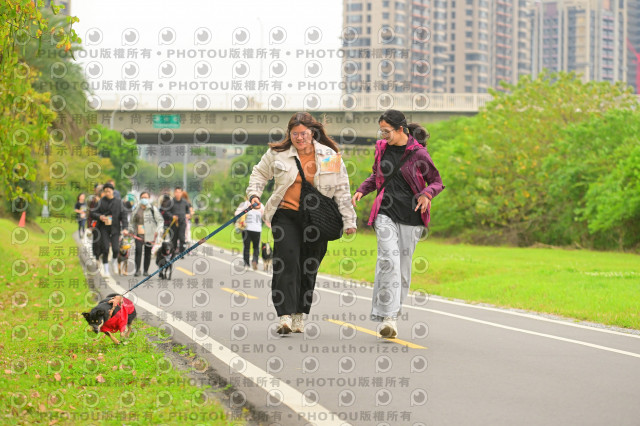 2024第六屆奔跑吧!毛小孩公益路跑