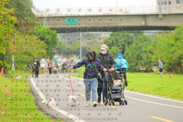 2024第六屆奔跑吧!毛小孩公益路跑