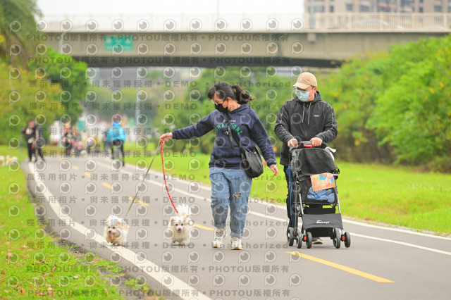 2024第六屆奔跑吧!毛小孩公益路跑