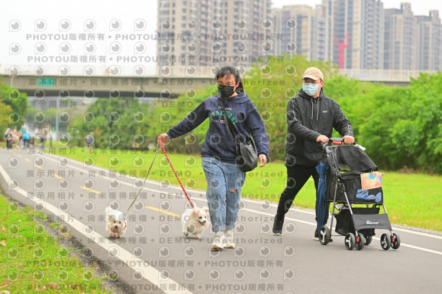 2024第六屆奔跑吧!毛小孩公益路跑