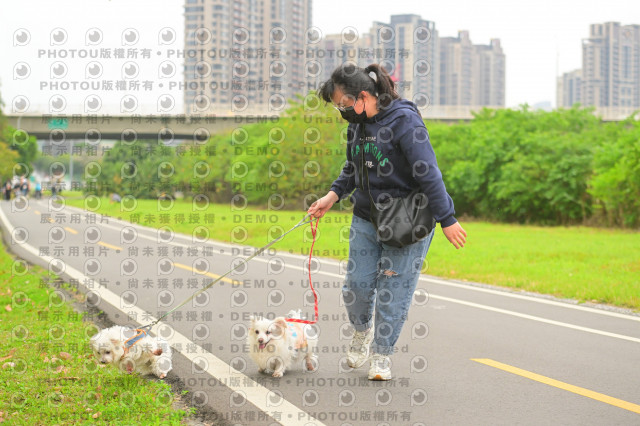 2024第六屆奔跑吧!毛小孩公益路跑