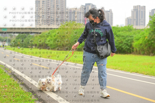 2024第六屆奔跑吧!毛小孩公益路跑