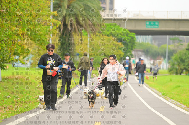 2024第六屆奔跑吧!毛小孩公益路跑
