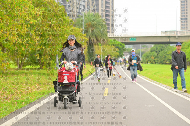 2024第六屆奔跑吧!毛小孩公益路跑