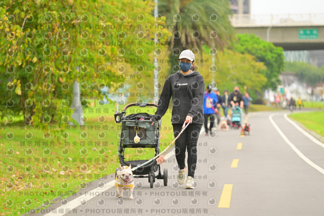 2024第六屆奔跑吧!毛小孩公益路跑
