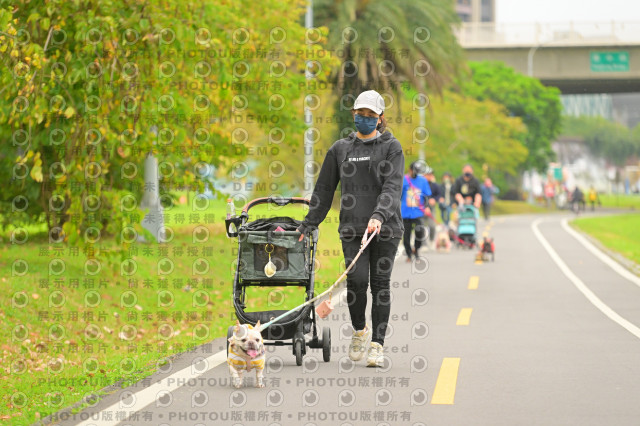 2024第六屆奔跑吧!毛小孩公益路跑
