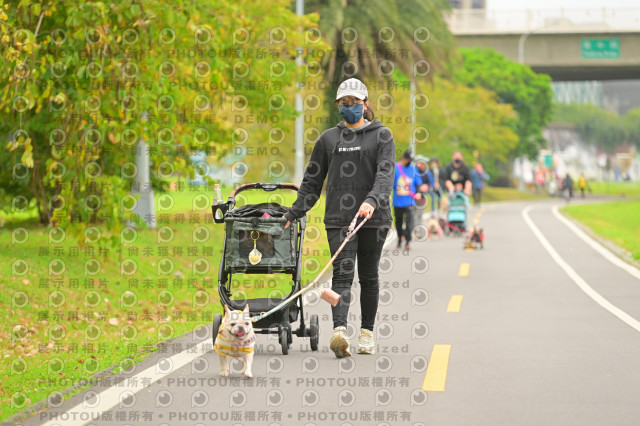 2024第六屆奔跑吧!毛小孩公益路跑