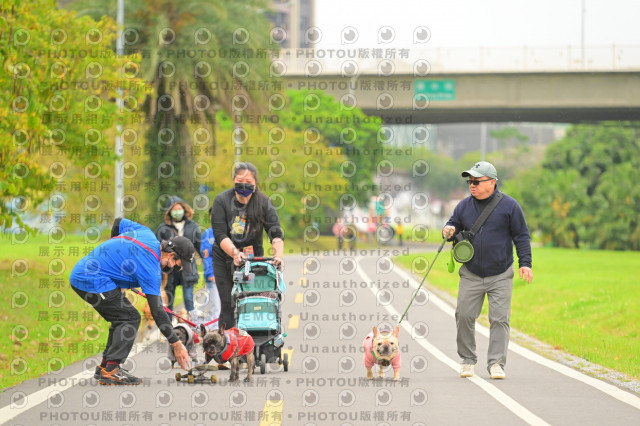 2024第六屆奔跑吧!毛小孩公益路跑