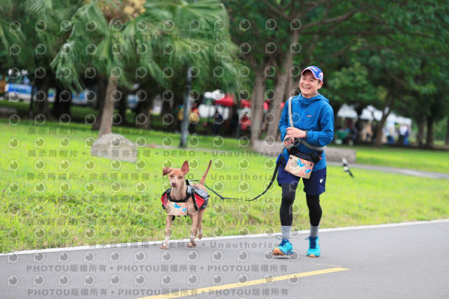 2024第六屆奔跑吧!毛小孩公益路跑