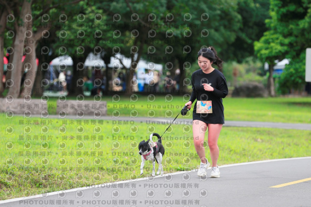 2024第六屆奔跑吧!毛小孩公益路跑