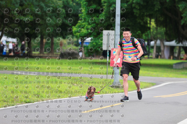 2024第六屆奔跑吧!毛小孩公益路跑