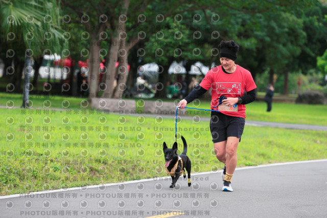 2024第六屆奔跑吧!毛小孩公益路跑