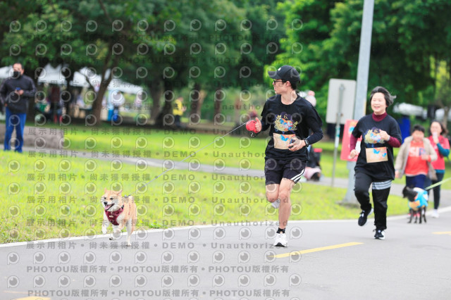 2024第六屆奔跑吧!毛小孩公益路跑
